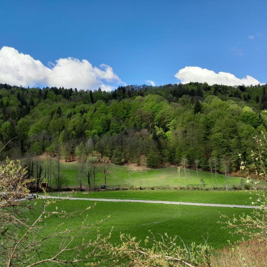 Nice Apartment Near By Capital Of Slovenia Ljubljana Ngoại thất bức ảnh